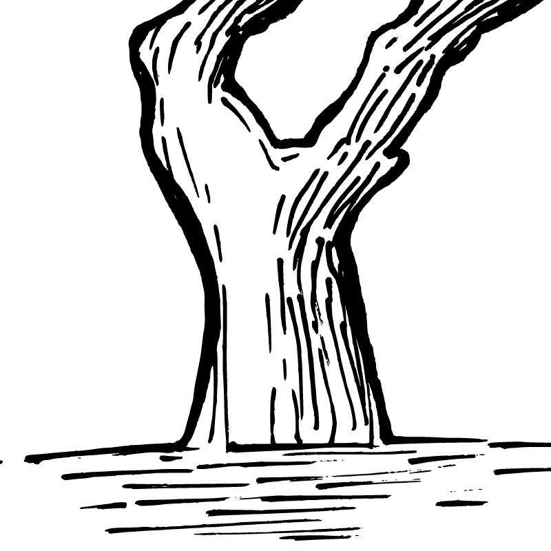 17-trunk